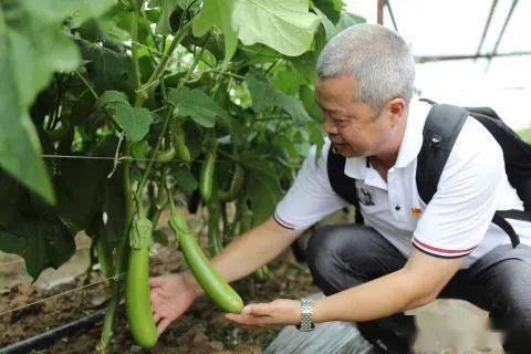 丝瓜视频苹果破解版看视频的app有哪些