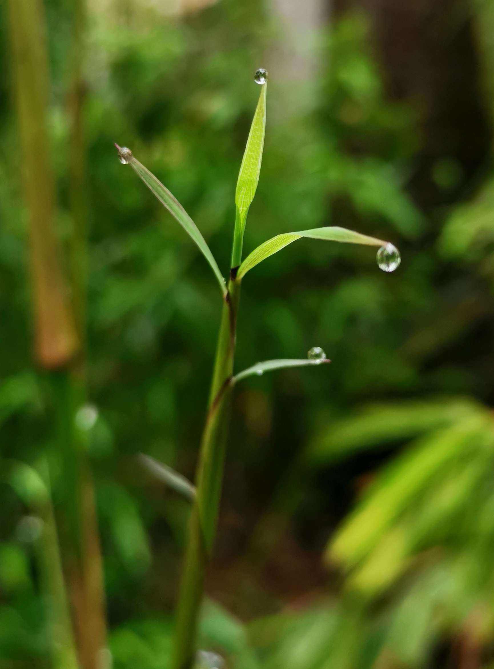 谷雨苹果版编程猫谷雨平台登录端-第2张图片-太平洋在线下载