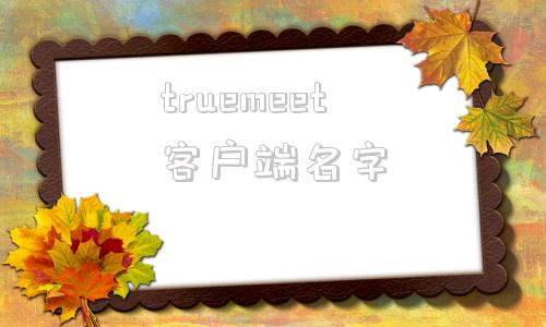 truemeet客户端名字truemeet电脑客户端下载-第1张图片-太平洋在线下载