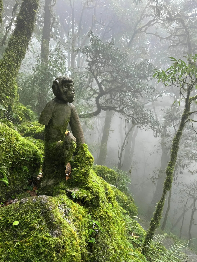 比比旅行客户端旅游电子商务项目计划书