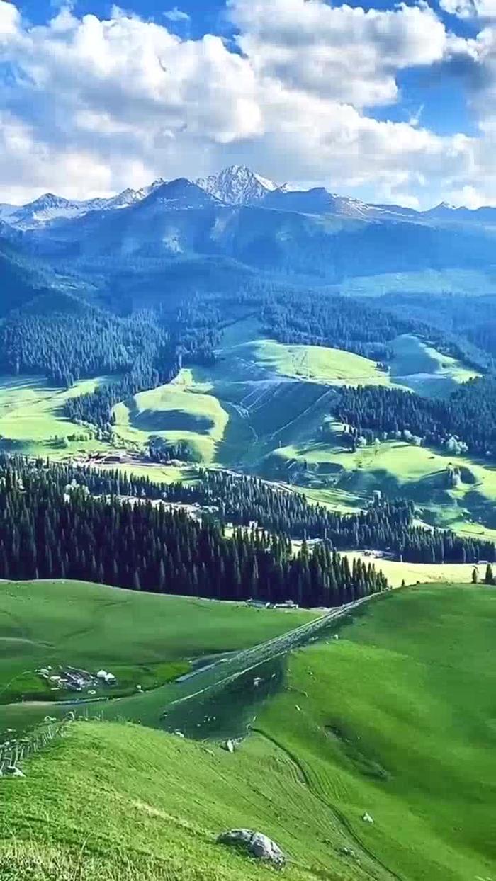 手机新浪首页手机版新浪彩票双色球名家第25045期推荐-第2张图片-太平洋在线下载