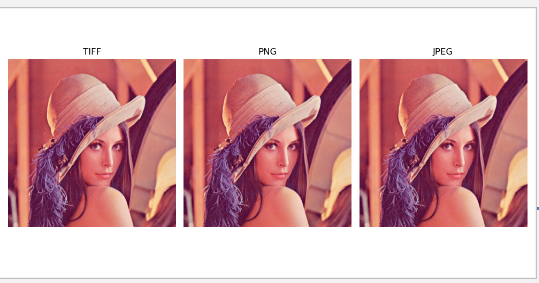 nupy下载安卓版nurtori手机下载-第2张图片-太平洋在线下载