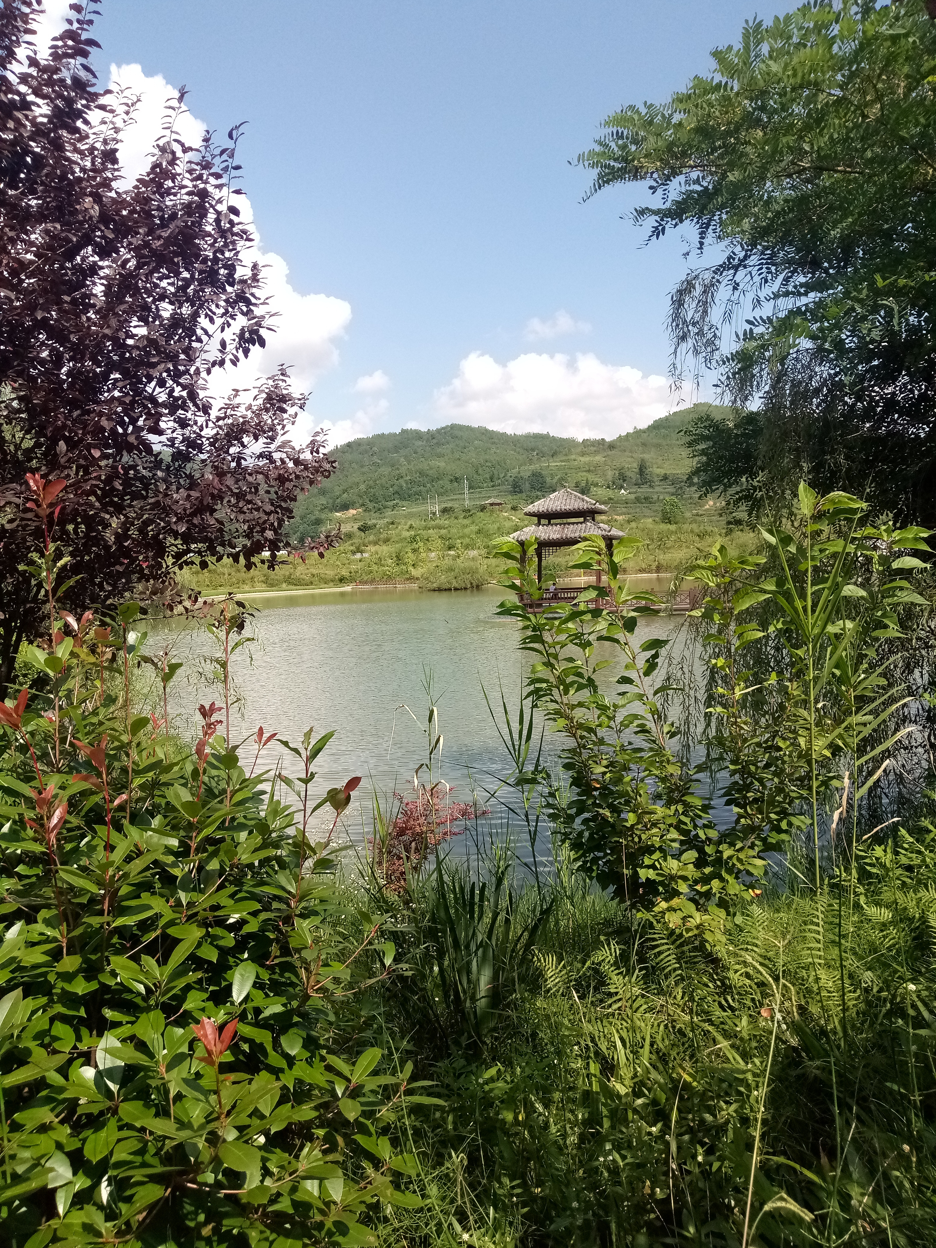 花色温泉乡手机版花色温泉全cg存档修改-第2张图片-太平洋在线下载