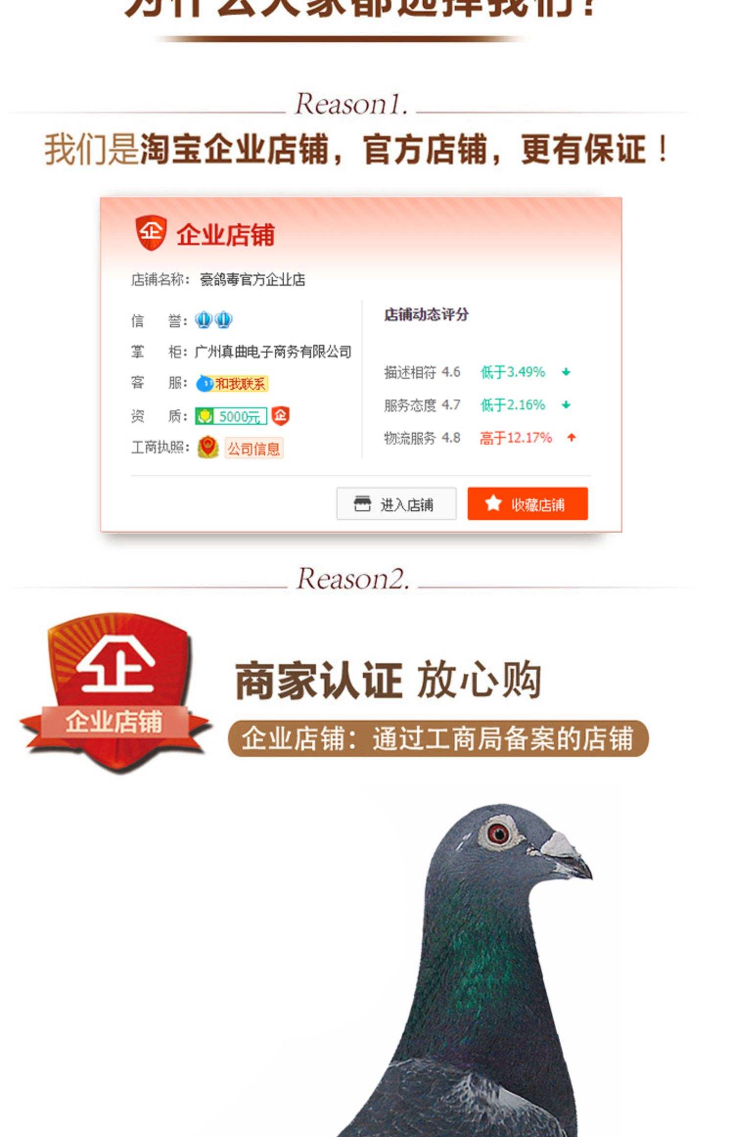 飞鸽商家客户端飞鸽商家客服工作台-第2张图片-太平洋在线下载 飞鸽商家客户端飞鸽商家客服工作台-第2张图片-太平洋在线下载